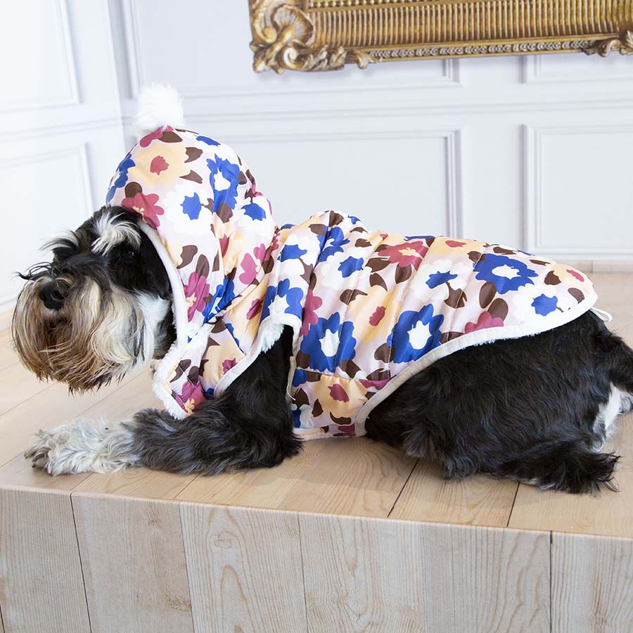 Outech Spring Casaco para c&atilde;es, , large Imagem n&uacute;mero 3